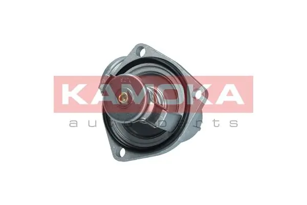 7710081 Kamoka