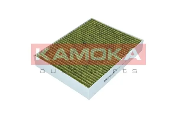 6080068 Kamoka