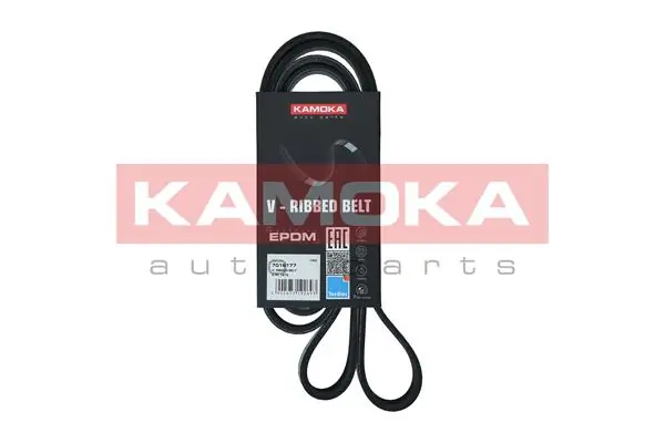 7016177 Kamoka