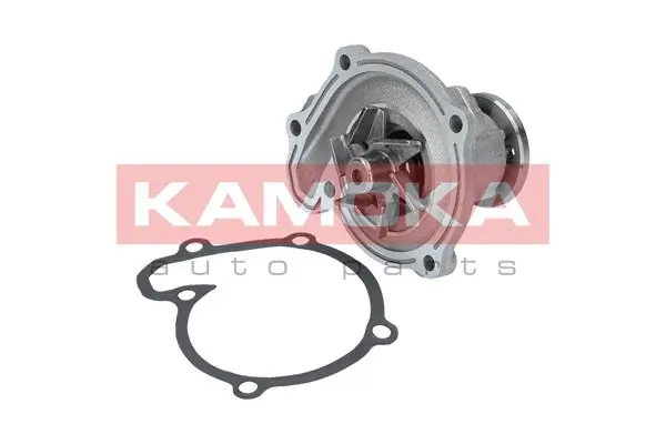 T0218 Kamoka