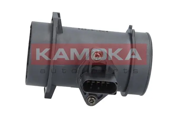 18003 Kamoka