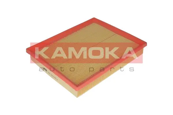 F220501 Kamoka