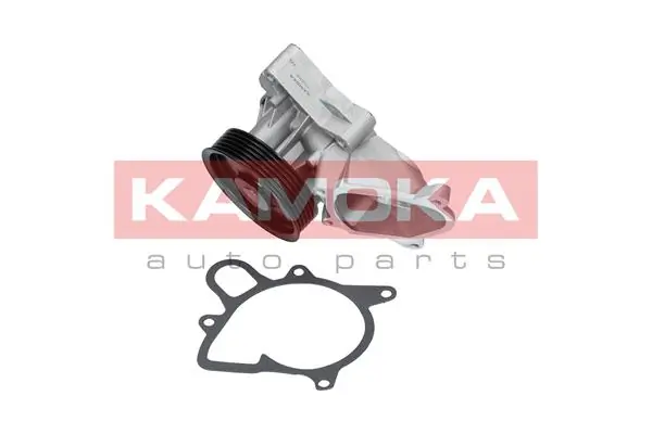 T0052 Kamoka