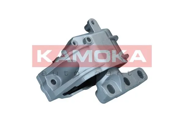 890913 Kamoka