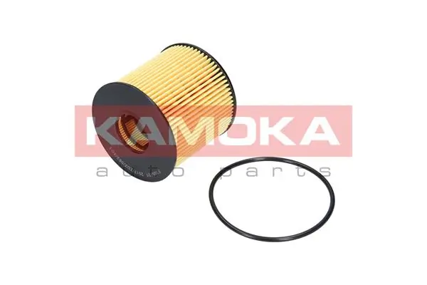 F105701 Kamoka