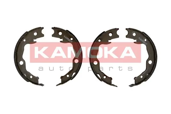 JQ212035 Kamoka