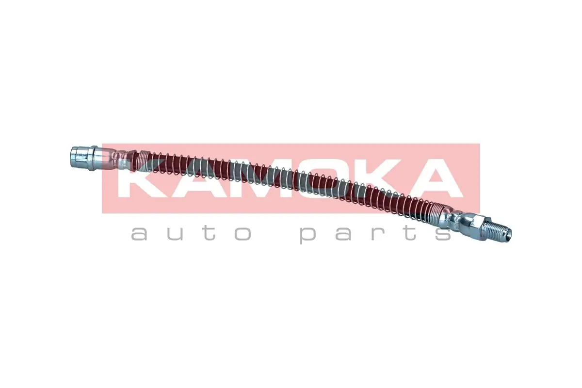 1170101 Kamoka