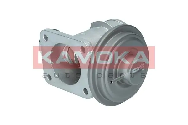 19064 Kamoka