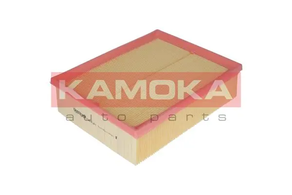 F203101 Kamoka