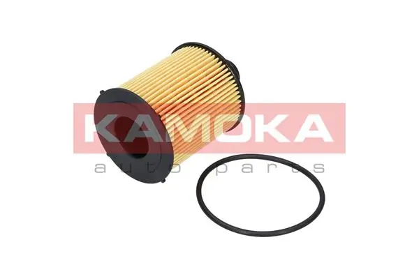 F111501 Kamoka