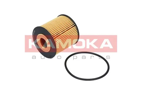 F107801 Kamoka