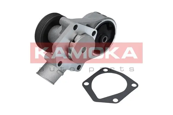 T0258 Kamoka