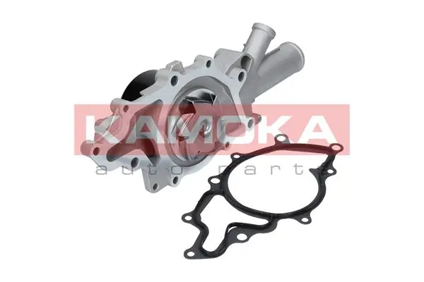 T0193 Kamoka