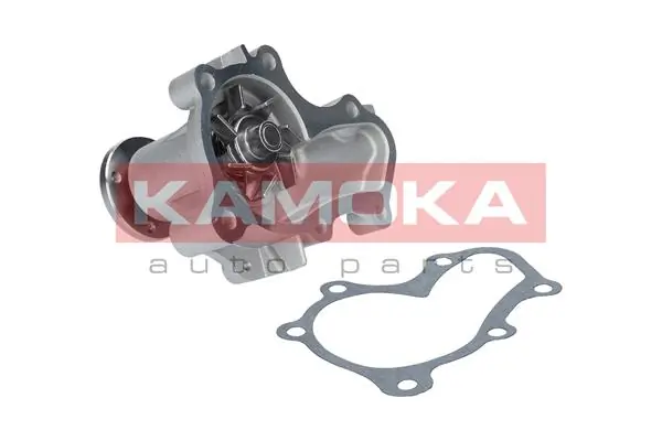 T0208 Kamoka