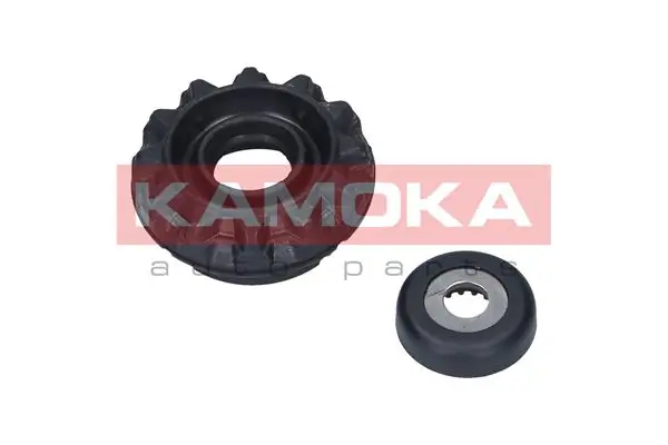 209032 Kamoka