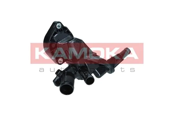 7710249 Kamoka