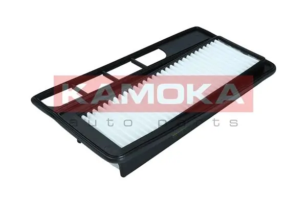 F253701 Kamoka