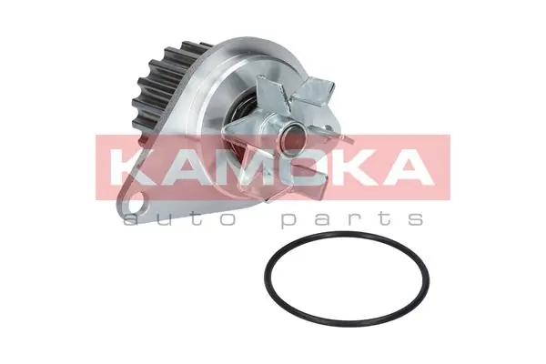 T0089 Kamoka