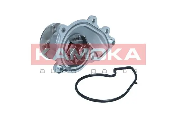 T0312 Kamoka