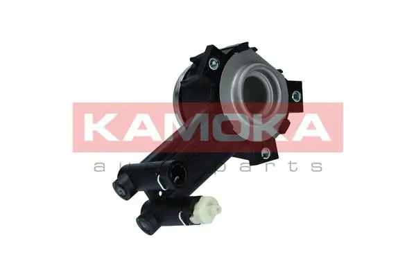 CC007 Kamoka