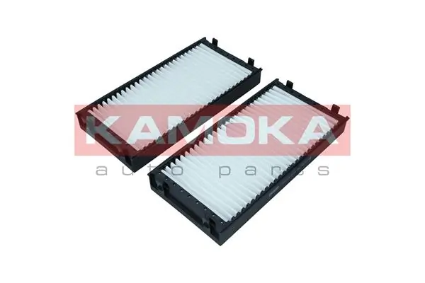 F421101 Kamoka