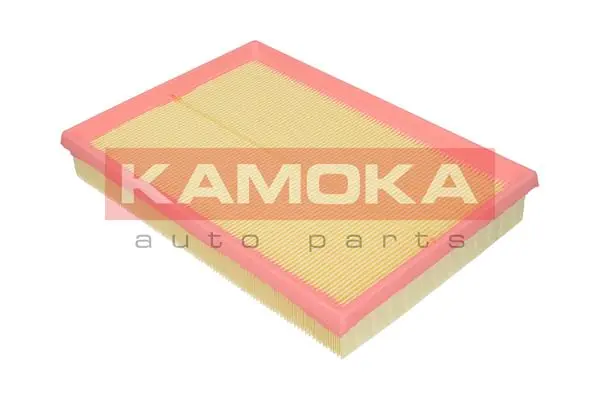 F202901 Kamoka