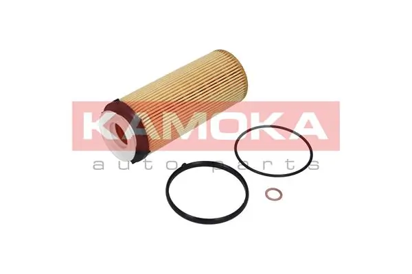 F110801 Kamoka