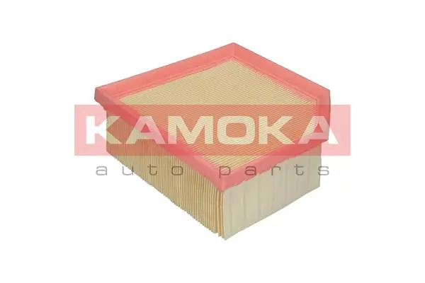 F228301 Kamoka