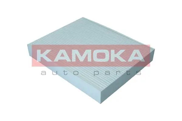 Do koszyka RF2648CWB Goodrem Filtr kabiny