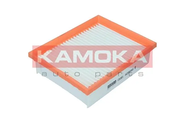 F253801 Kamoka