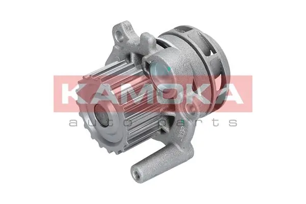 T0034 Kamoka