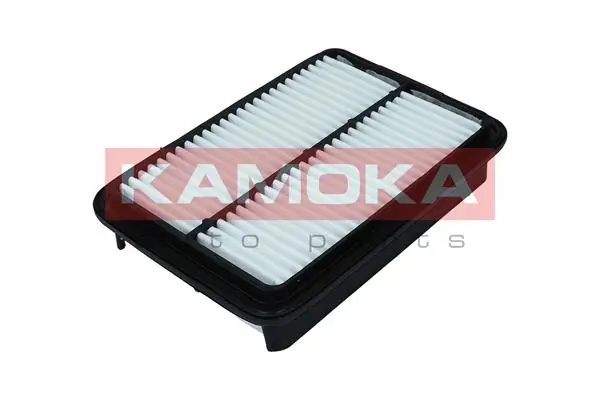 F249001 Kamoka