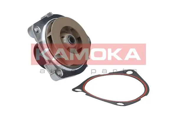 T0003 Kamoka