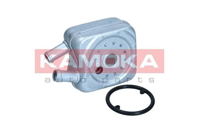 7730007 Kamoka