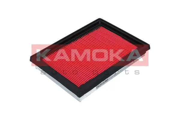 F231501 Kamoka