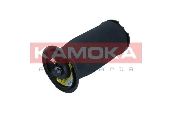 2079016 Kamoka