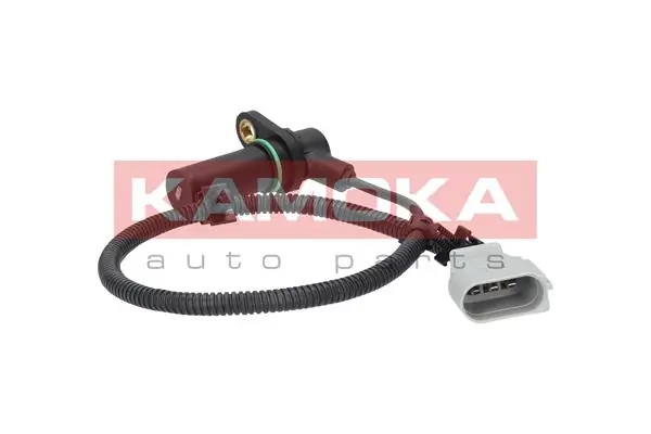 109006 Kamoka