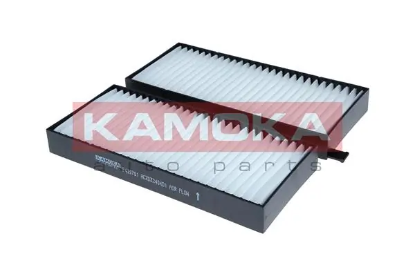 F429701 Kamoka