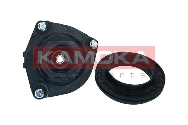 209028 Kamoka