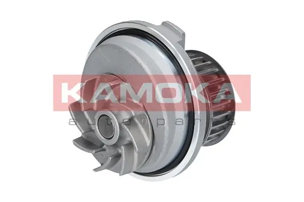 T0229 Kamoka