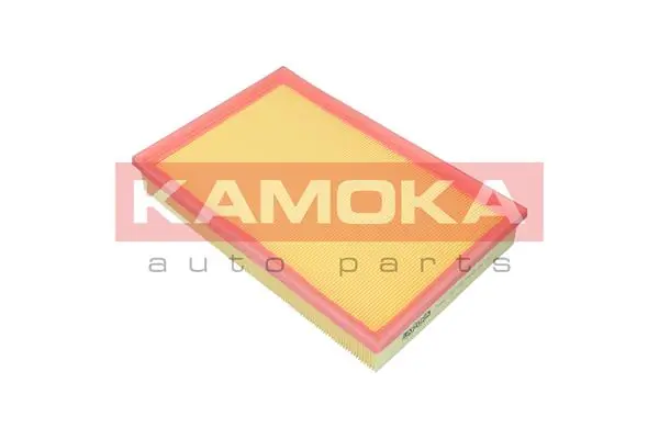 F242901 Kamoka