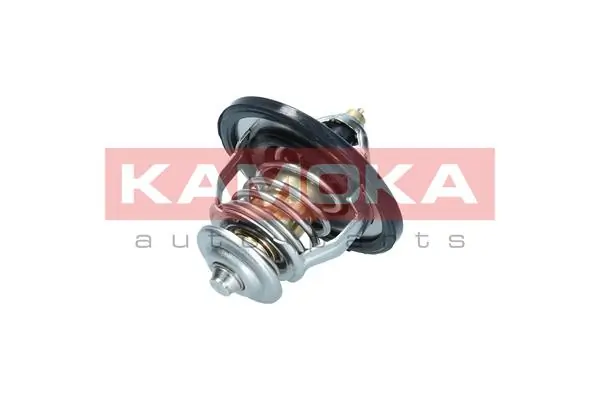 7710098 Kamoka