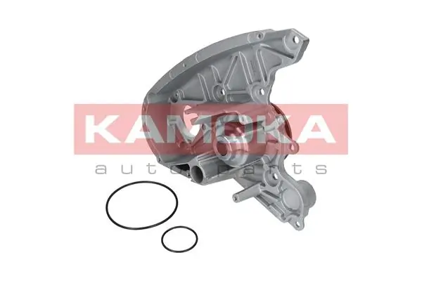 T0119 Kamoka