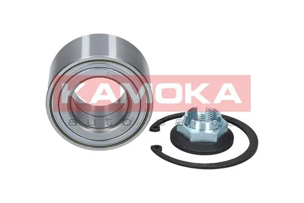 5600059 Kamoka