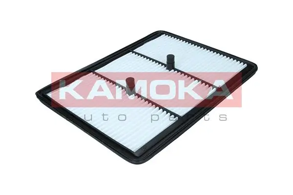 F259601 Kamoka