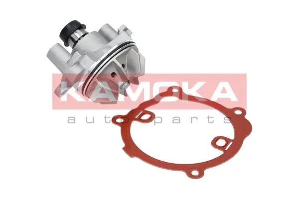 T0216 Kamoka