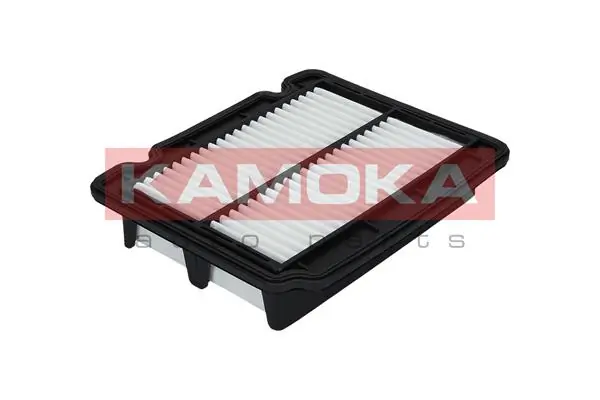F210601 Kamoka