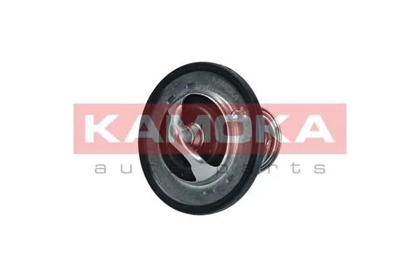 Termostat Lexus RX U3