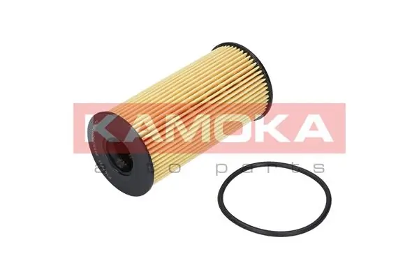 F107701 Kamoka