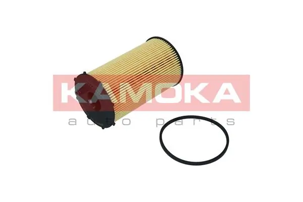 F120201 Kamoka